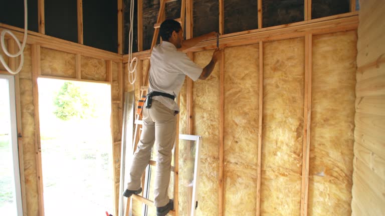 Best Insulation Replacement  in Flatonia, TX