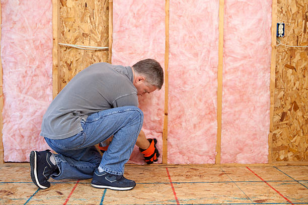 Best Insulation Air Sealing  in Flatonia, TX